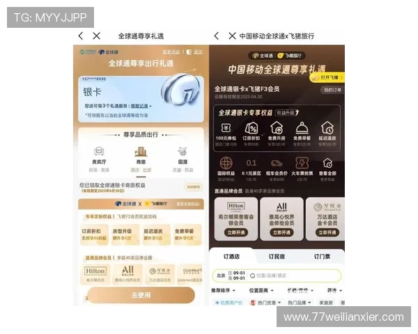 云顶赌场app中的VIP会员制度及其福利解析